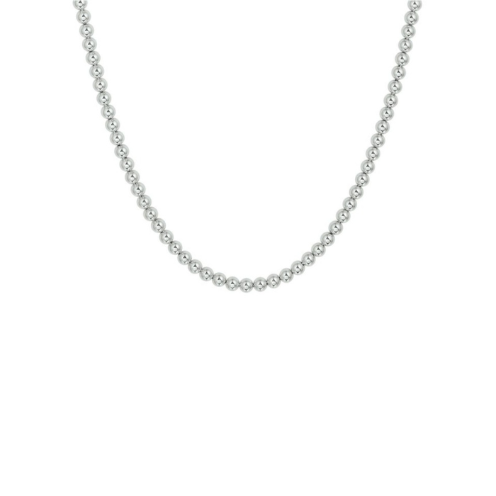 Ashanger Hart + 90cm Ketting Stainless Steel