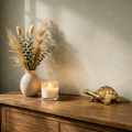 Urn Turtle - Antique Brass