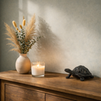 Tortue Urne - Noir Antique