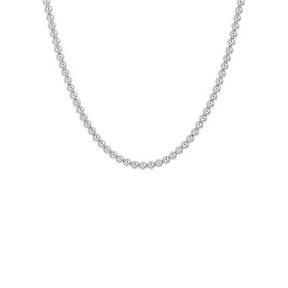 Ashanger Hart Hondenpootje + 90cm Ketting Stainless Steel