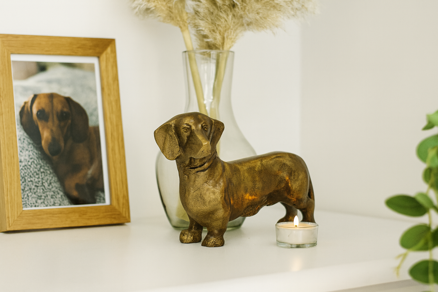 Urn Hond M - Kleur Antiek Goud