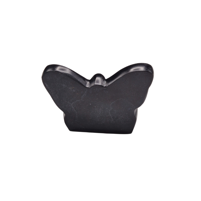 Urn Vlinder Zwart Achteraanzicht