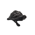 Urn Schildpad - Black Antique